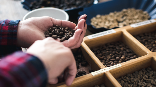 Best Coffee Beans in the UK